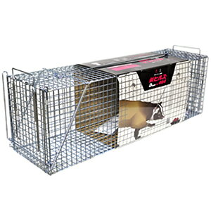 hHƁ@hqY@^bߊl(^kLAACO}AnNrVALclp)@AG-4@Dtype@NO.404@[@l][ʓrς]