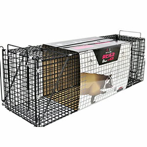 hHƁ@hqY@^bߊl(ACO}AnNrVALclp)@AG-5@Dtype@NO.405@[@l][ʓrς]