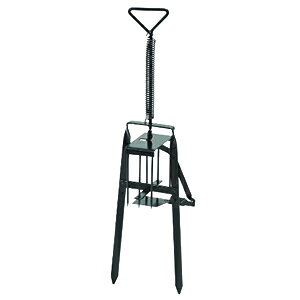 hHƁ@hqY@^bߊl(Op)@MG-1@Btype@NO.151