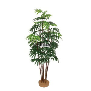 ^JV[ GD-125S 21549200 V`N5{  1.5m p lHA CeA ϗt GD-125S [@l]