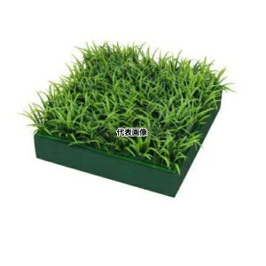 ^JV[ GD-180R 33360800 Zbg [mqQ plHA tFCNO[ GD-180R [@l]