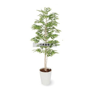 ^JV[ GD-193 21899800 S[f[t 1.5m p ϗtA lHA rO Ԏd؂ ډB GD-193 [@l]