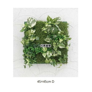 ^JV[ GD-201D 33579400 ǖʃAW D |gX(t[)45cm×45cm plHA tFCNO[ GD-201D [@l]