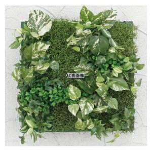 ^JV[ GD-201DF 33535000 ǖʃAW D |gX(t[t)45cm×45cm plHA tFCNO[ GD-201DF [@l]