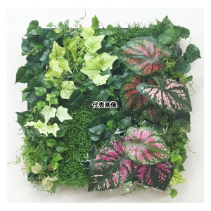 ^JV[ GD-201LF 21950600 ǖʃAW LF JW[sN(t[t)45cm×45cm plHA tFCNO[ GD-201LF [@l]