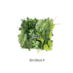 ^JV[ GD-203F 33172700 ǖʃAW F JW[(t[)30cm×30cm plHA tFCNO[ GD-203F [@l]