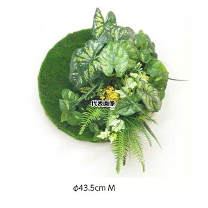 ^JV[ GD-206M 21959900 ǖʃAW43.5 MT[N JW[(t[) plHA tFCNO[ GD-206M [@l]