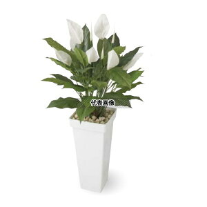 ^JV[ GD-215 33377600 XpeBtB 0.9m p ϗtA lHA rO Ԏd؂ ډB GD-215 [@l]