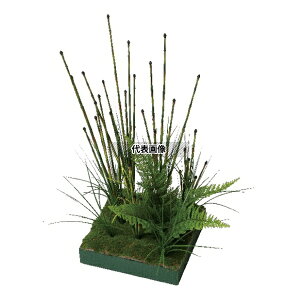 ^JV[ GD-224 33347900 RZbg VgNT plHA tFCNO[ GD-224 [@l]