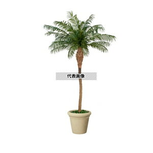 �^�J�V���[ GD-229 21773100 �t�F�j�b�N�X 2.5m ��^�l�H�� �l�H�A�� �ϗt GD-229 [�@�l����]
