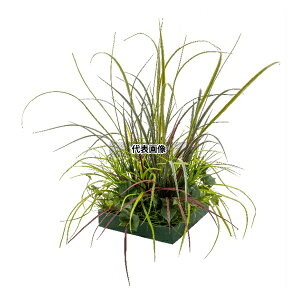 ^JV[ GD-248 33740800 RZbg C plHA tFCNO[ GD-248 [@l]