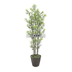 ^JV[ GD-50LH 21481500 |7{ t 1.8m p a|  GD-50LH [@l]