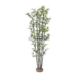 ^JV[ GD-50S 21484600 |7{  1.5m p a|  GD-50S [@l]