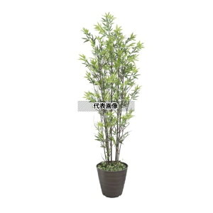 ^JV[ GD-50SH 21482200 |7{ t 1.5m p a|  GD-50SH [@l]
