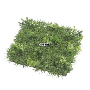 ^JV[ GN-107 33381300 ~bNX}bg  27cm×27cm plHA tFCNO[ lH RP GN-107 [@l]