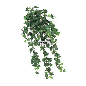 ^JV[ GN-24G 21674100 ACr[ubVO[ L50cm p ϗtA lHA nMO GN-24G [@l]