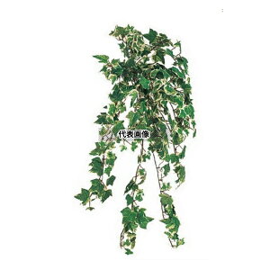 ^JV[ GN-24W 21675800 ACr[ubV_uJ[ L50cm p ϗtA lHA nMO GN-24W [@l]