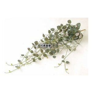 ^JV[ GN-94 21676500 n[gJY p ϗtA lHA nMO GN-94 [@l]