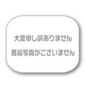 �e���I�J�@�萫�h���p�^�O���[�h�@1-460X570mm�@[100����]�@�F19-0202-12