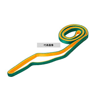 �V���C(���� TORAY) �i�C�����X�����O �G���h���X�` N3N 50X1.50 ��50mm ����1.50m JIS B 8818 3���� N3N-50X1.50