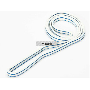 シライ(東レ TORAY) ポリエステルスリング エンドレス形 PET3N 35X5.00 幅35mm 長さ5.00m JIS B 8818 3等級 PET3N-35X5.00