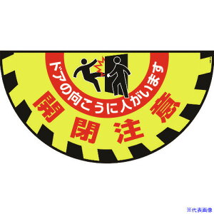 Ώ\ HʗpW(~}bg) JӁEhǍ GM-9 465×900mm 101129(1064771)