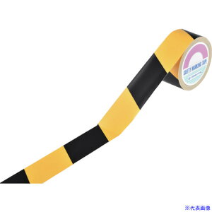 Ώ\ ge[v(Ő؂^Cv) / TR2-B 60mm×25m Xtz 256202(1066345)