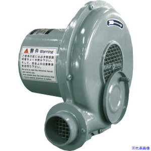 d@ d@ ^v[g^ YV[Y P100V (0.03kW) Y1.5(1098217)