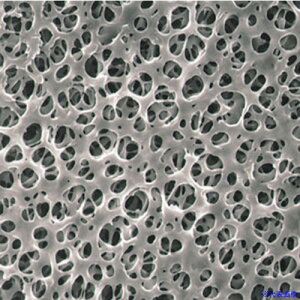 SIBATA utB^[ C045A047A 100 064320047045(1124682)[ʓrς][@lEƏ][fO]