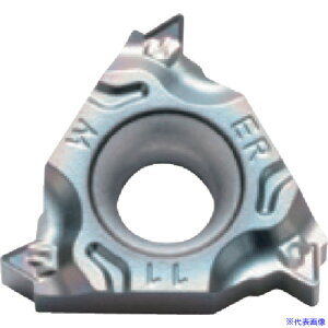 Z Oa˂؂Hp`bv (Ǘps˂ G(PF)EEBbg˂ W) PR1535 16ER19WTF(PR1535)(1126295)×5[ʓrς][@l][fO]