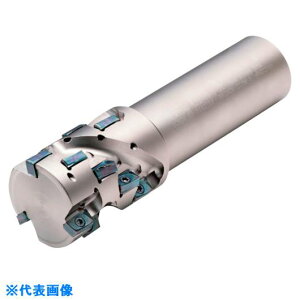 �����Z�� �w���J���G���h�~��MEWH �G���h�~�� MEWH025S251032TXT(1126333)[�����ʓr�����ς�][�@�l����][�f�O���]