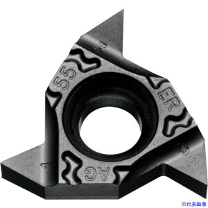 �����Z�� �O�a�˂��؂���H�p�`�b�v (�ėp55°�AG(PF)�AR(PT)(BSPT)�A�E�B�b�g�˂�(W) PR1215 16ERG55TF(PR1215)(1129457)×5[�����ʓr�����ς�][�@�l����][�f�O���]