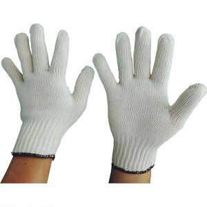 xm ȌR(w^Cv) 801(1148035)×10[ʓrς][@l][fO]