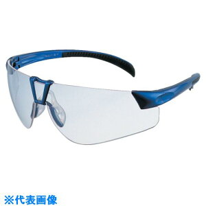 VQ}c X؃N^N`ی߂ EE|32G(10) EE32G(1170030)