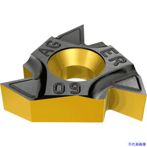 ���C�X�J�� 60°�˂��؂�`�b�v ER/L�|60° IC808 16ERMA60(IC808)(1184705)×5[�����ʓr�����ς�][�@�l����][�f�O���]