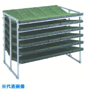 a NC^A~c[I NC60K(1252317)[ʓrς][@l][O]