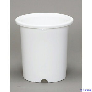 ��IRIS 125001 �f�B�[�|�b�g 10�� �z���C�g DP10W(1265037)[�����ʓr�����ς�][�@�l����][�f�O���]