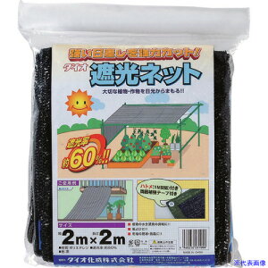 Dio bZՌ 60TH  2m×2m 231008(1269668)×20[ʓrς][@lEƏ][fO]