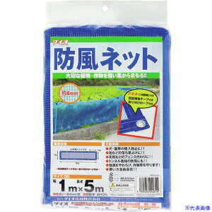 Dio hlbg 4THR  1m×5m 240314(1271353)×16[ʓrς][@l][fO]