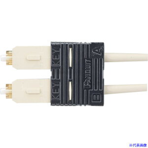 PANDUIT ςSCRlN^ fvbNX OM1 AC{[ FSC2DMC6EI(1289202)×10[ʓrς][@l][[J[]