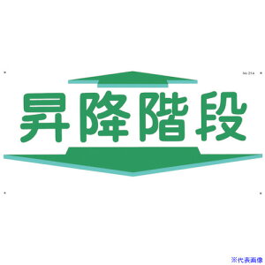  ʘHW u~Kiv ^ 21A(1346671)[ʓrς][@lEƏ][fO]