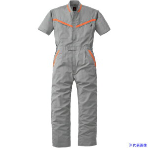 ���J���T�C SS(�t��)���f�� ���ˌ^�����Ȃ���259�|008�V���o�[�O���[�|S 259008S(1369790)[�����ʓr�����ς�][�@�l����][�f�O���]