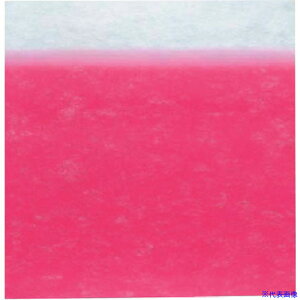 TKG sDzV[g{JVsN(10) 900 RHL6501(1384986)[ʓrς][@lEƏ][fO]