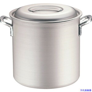 TKG IHA~ (ڐt) 24cm AZV8601(1386390)[ʓrς][@lEƏ][fO]