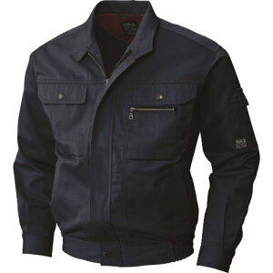 TGX ~ u] lCr[F 4LTCY WA21251R34L(1518614)[ʓrς][@lEƏ][O]