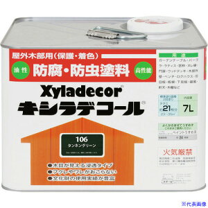 KANSAI LVfR[ ^lO[ 7L 00017670340000(1528826)[ʓrς][@l][[J[]