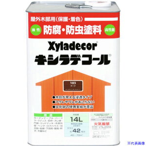 KANSAI LVfR[ `[N 14L 00017670200000(1528832)[ʓrς][@l][[J[]