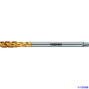 �����}�� �����O�����p�X�p�C�����^�b�v LS-F-SP L150 P4 M12X1.75 LSFSPP4150M12X1.75(1537605)
