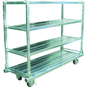 Jx 񂽂I 1I3t KT1850N4(1631842)[ʓrς][@l][]