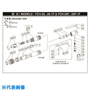 ���s�� �L���b�vAss�fy H�|001005�|00 (5412054244) 5412054244(1751546)[�����ʓr�����ς�][�@�l����][�f�O���]